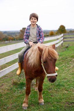 At destekli terapi. Küçük çocuk dışarıda midilliye biniyor. Sevimli evcil hayvan