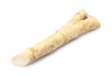 Bir taze yaban turpu kökü beyaza izole edilmiş.