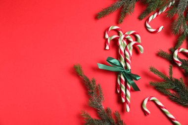 Kırmızı zemin üzerinde birçok şeker kamışı ve köknar ağacı dalları, metin için boşluk ile düz yatıyordu. Noel hediyesi