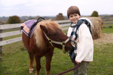 At destekli terapi. Güzel midillisi olan küçük bir çocuk. Sevimli evcil hayvan