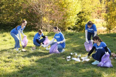 Çantalı bir grup mutlu gönüllü parkta çöp topluyor.