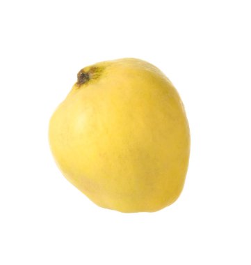 Taze olgun bir ayva beyazda izole edilmiş.