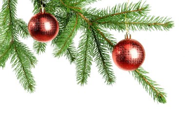 Beyaz arka planda Noel topları olan fidan dalları