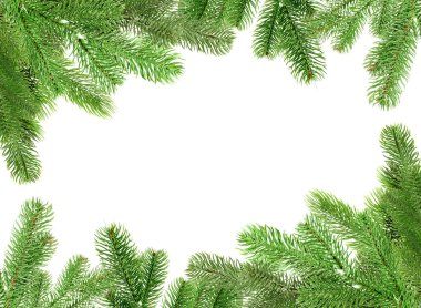 Noel ağacı dalları beyaza izole edilmiş. Metin için alanı olan çerçeve
