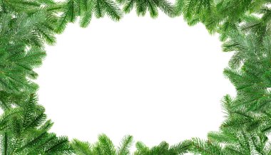 Noel ağacı dalları beyaza izole edilmiş. Metin için alanı olan çerçeve