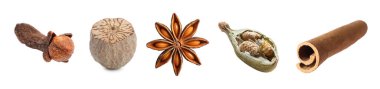 Beyaz arka planda farklı Noel baharatları seti. Anason, hindistan cevizi, kakule, karanfil ve tarçın.