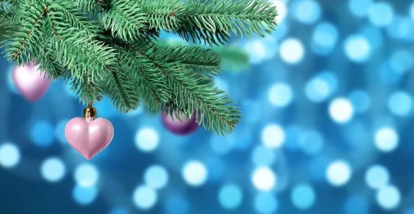 Mavi arka planda bulanık ışıklara karşı süslemeli Noel ağacı dalı, bokeh etkisi. Pankart tasarımı