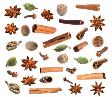 Beyaz arka planda farklı Noel baharatları seti. Anason, hindistan cevizi, kakule, karanfil ve tarçın.