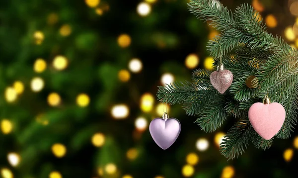 Karanlık arka planda bulanık ışıklara karşı süslemeli Noel ağacı dalı, bokeh etkisi. Pankart tasarımı