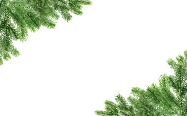 Noel ağacı dalları beyaza izole edilmiş. Metin için alanı olan çerçeve