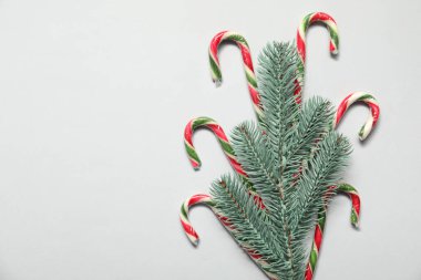 Noel kutlaması. Şeker kamışı ve köknar ağacı dalı beyaz arka planda, düz yerde. Metin için boşluk