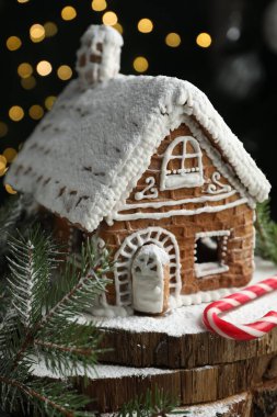 Zencefilli kek evi, köknar dalları ve siyah arka planda şeker kamışı, bulanık ışıklar, yakın plan. Noel hediyesi