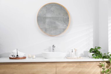 Ayna, damar lavabosu ve ev bitkisi olan şık bir banyo.