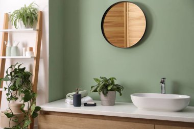 Ayna, damar lavabosu ve ev bitkileriyle süslü bir banyo.