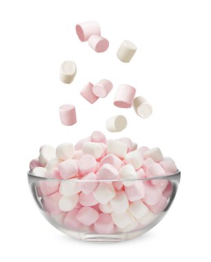 Beyaz arka planda taze yaban ördekleri kaseye düşüyor.