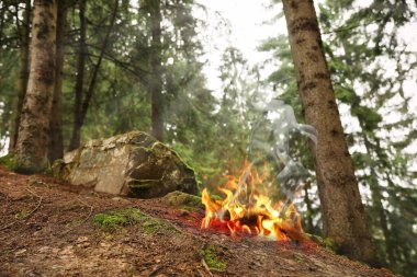 Dağ ormanlarında yangın, alçak görüş. Vahşi ateşin tehlikesi