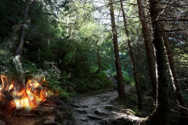 Dağ ormanında yangın. Vahşi ateşin tehlikesi