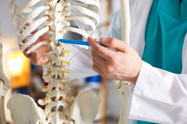 Hastanede insan iskeleti modeli olan bir doktor var.