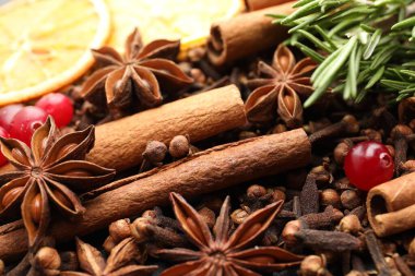 Farklı baharatlar, taze biberiye, kızılcık ve sıcak şarap için kuru portakal dilimleri, yakın plan.