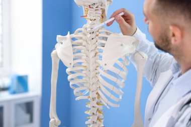 Hastanede insan iskeleti modeli olan bir doktor var.