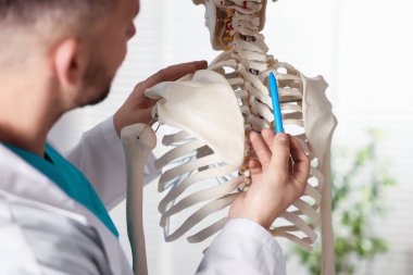 Hastanede insan iskeleti modeli olan bir doktor var.