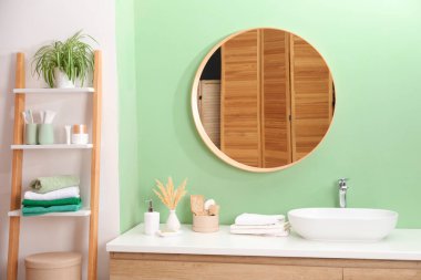 Ayna, damar lavabosu ve ev bitkisi olan şık bir banyo.