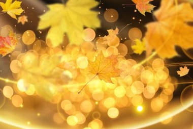 Altın sonbahar yaprakları koyu arkaplana doğru düşüyor. Işıklar, bokeh etkisi