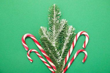 Noel kutlaması. Yeşil arka planda şeker kamışları ve şenlikli dekor, düz yatış