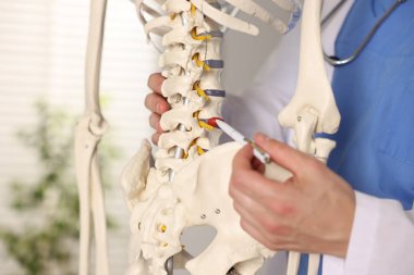 Hastanede insan iskeleti modeli olan bir doktor var.