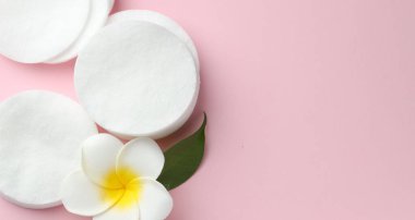 Pembe arka planda temiz pamuk pedler ve tesisat çiçeği, düz bir zemin. Metin için boşluk