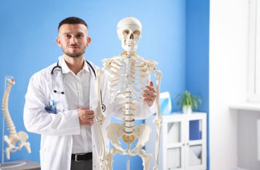 Hastanede insan iskeleti modeli olan bir doktor var. Metin için boşluk