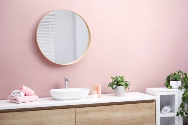 Ayna, damar lavabosu ve ev bitkileriyle süslü bir banyo.