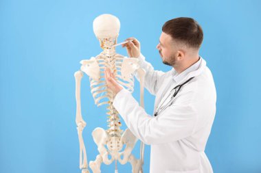 Açık mavi arka planda insan iskeleti modeli olan bir doktor.