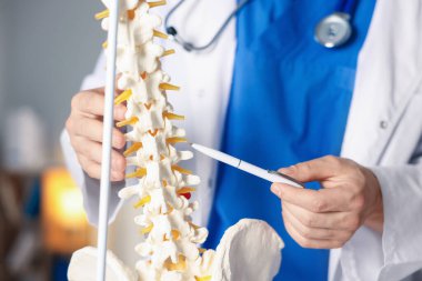 İnsan omurga modeli olan doktor hastanede, yakın plan.