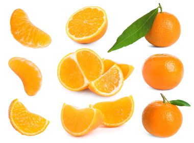 Beyaza izole edilmiş mandalina seti. Citrus meyvesi.