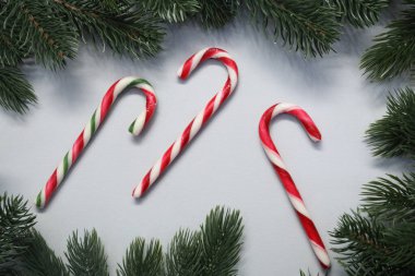 Düz kompozisyon ve arka planda şeker kamışı vardı. Noel hediyesi