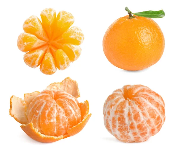 Beyaza izole edilmiş mandalina seti. Citrus meyvesi.