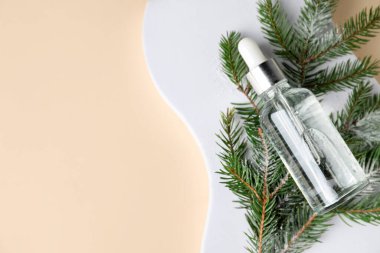 Christmas composition with bottle of cosmetic product and fir branches on beige background, top view. Mockup for design