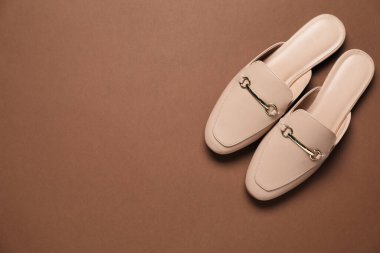 Kahverengi arka planda bir çift şık katır ayakkabısı. Metin için boşluk