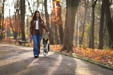 Sonbahar parkında sevimli köpeğini gezdiren bir kadın.