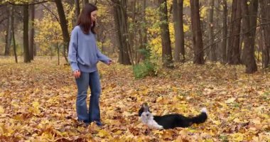 Parkta sevimli köpeğini eğiten bir kadın. Sonbahar yürüyüşü
