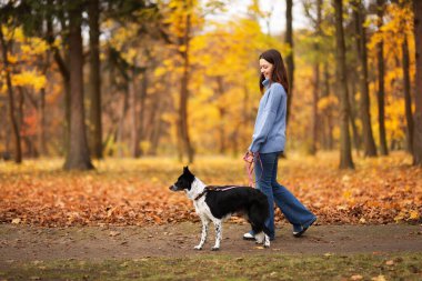 Sonbahar parkında sevimli köpeğini gezdiren bir kadın.