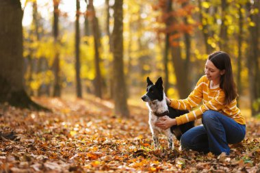 Sonbahar parkında sevimli köpeğini gezdiren bir kadın.