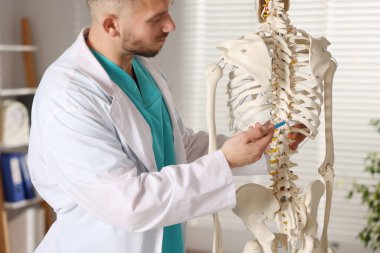 Hastanede insan iskeleti modeli olan bir doktor var.