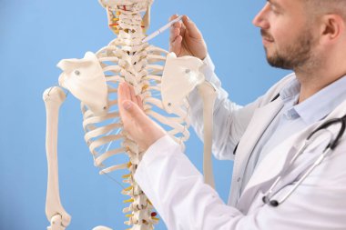 Açık mavi arka planda insan iskeleti modeli olan doktor, yakın plan.