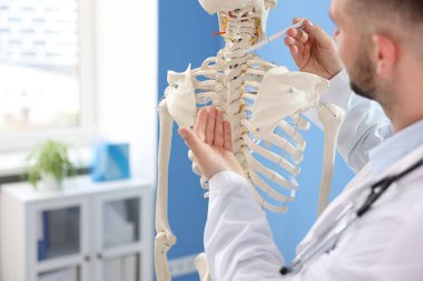 Hastanede insan iskeleti modeli olan bir doktor var.