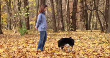 Parkta sevimli köpeğini eğiten bir kadın. Sonbahar yürüyüşü