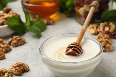 Ballı, fındıklı ve nane şekerli leziz Yunan yoğurdu açık gri masada, yakın plan.