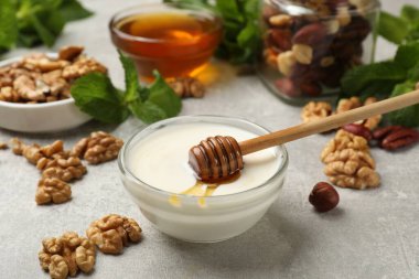 Ballı, fındıklı ve nane şekerli leziz Yunan yoğurdu açık gri masada, yakın plan.