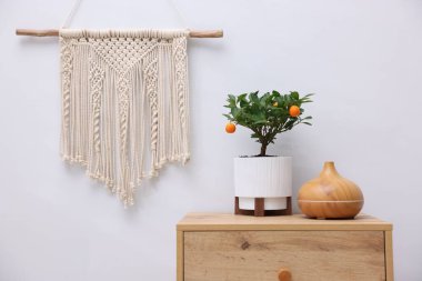 Mandalina ağacı ve hava nemlendiricisi beyaz duvarın yanındaki ahşap dolapta.